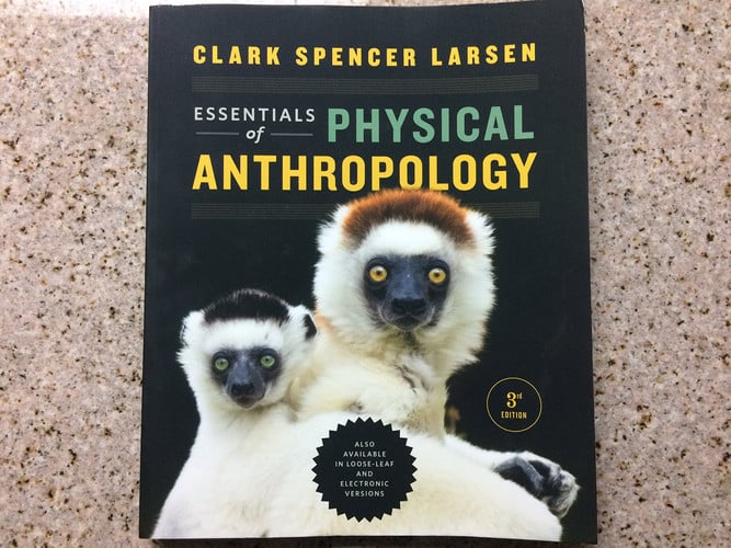 Essentials of Physical Anthropology Discovering Our Origins