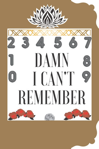 Damn I Can't Remember: Diary and log book to protect usernames and passwords