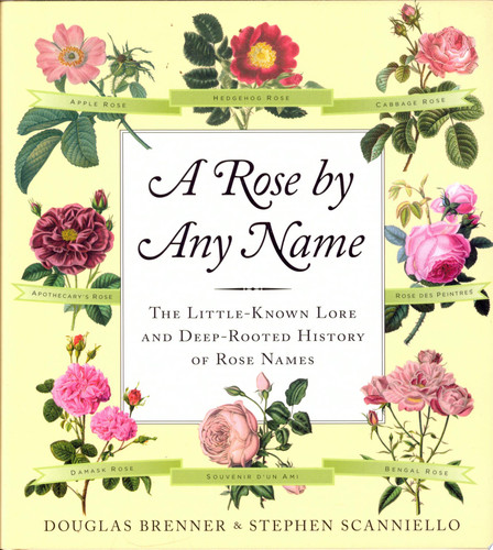 A Rose by Any Name