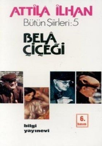 Bela Çiçeği