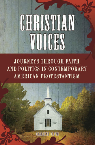 Christian Voices Journeys Through Faith and Politics in Contemporary American Protestantism