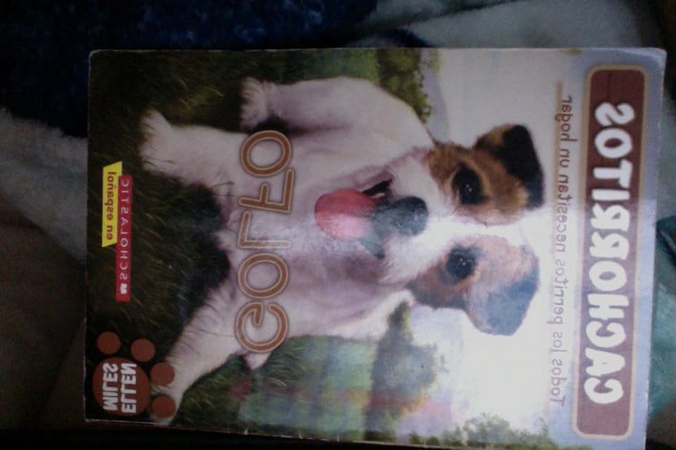 Cover of Golfo (Scholastic in Espanol) (Cachorritos)