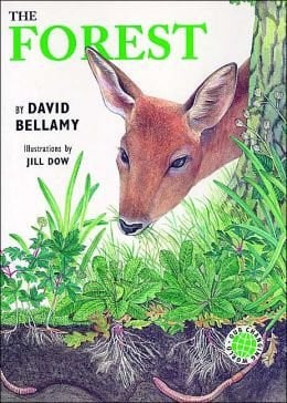 Cover of The forest