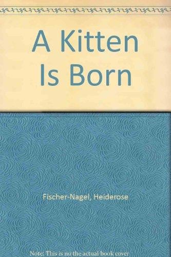 Cover of Kitten Is Born Gb