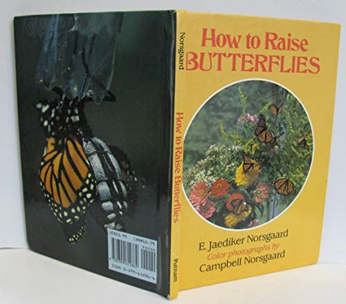 Cover of How to raise butterflies
