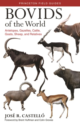 Bovids of the World: Antelopes, Gazelles, Cattle, Goats, Sheep, and Relatives (Princeton Field Guides, 104)