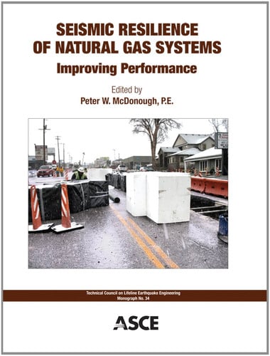 Seismic Resilience of Natural Gas Systems Improving Performance