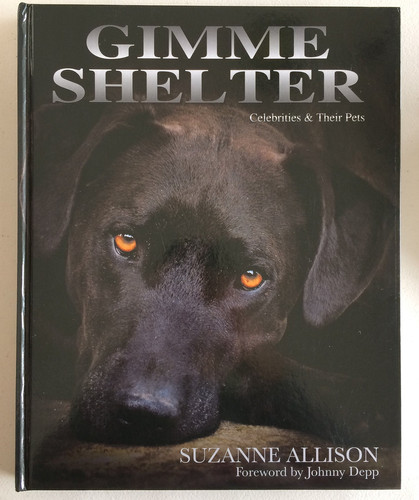 Gimme Shelter
