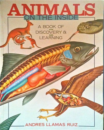 Cover of Animals on the inside