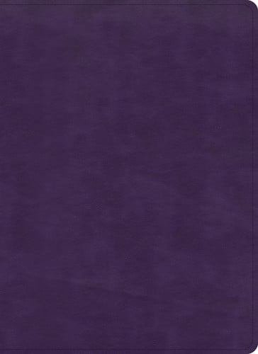 KJV Study Bible, Full-Color, Plum LeatherTouch, Red Letter, Red Letter, Pure Cambridge Text, Study Notes, Articles, Word Studies, Images, Illustrations, Maps, Easy-to-Read Bible MCM Type