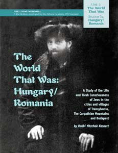Cover of The world that was.