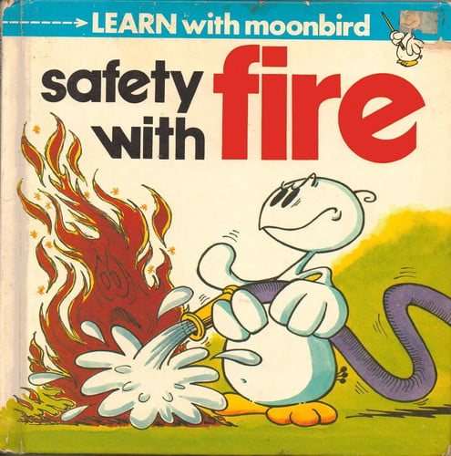 Cover of Safety with fire
