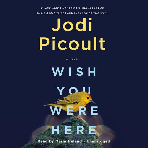 Wish You Were Here A Novel