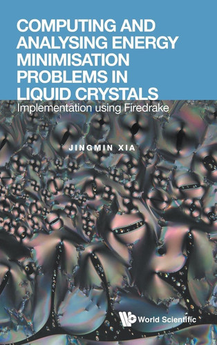 Computing and Analysing Energy Minimisation Problems in Liquid Crystals Implementation Using Firedrake