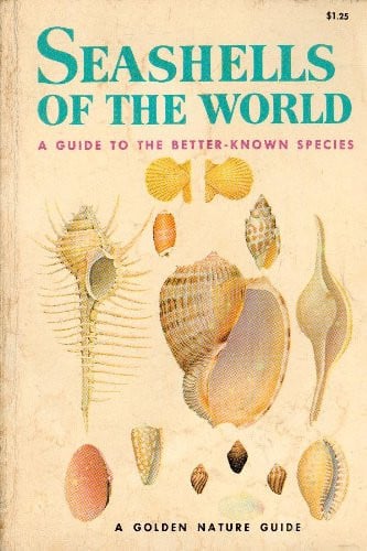 Cover of Seashells of the World