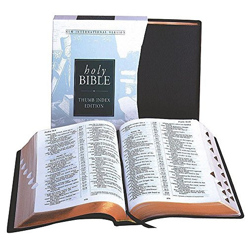 New International Version Bible