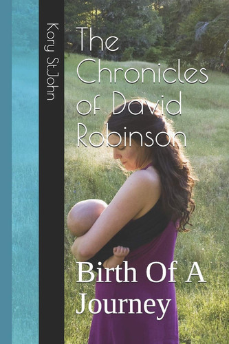 Cover of The Chronicles of David Robinson Birth Of A Journey
