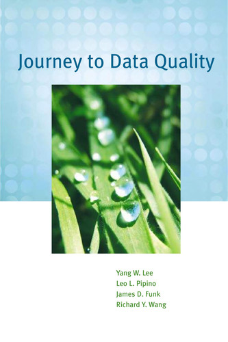 Journey to Data Quality
