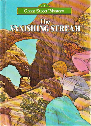Cover of The vanishing stream