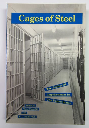 Cages of Steel: The Politics of Imprisonment in America (Activism, Politics, Culture, Theory, Vol. 4)