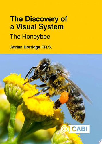 The Discovery of a Visual System The Honeybee