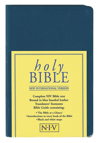 Bible: New International Version (Bible Niv)