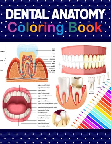 Dental Anatomy Coloring Book Learn the Basics of Dental Anatomy. Dental Anatomy Coloring Book for Cute Children's, Kids, Boys, Girls, Dental Assistants, Dental Students, Periodontists and Dentists. Anatomy Book for Dental Students.