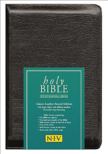 Bible New International Version