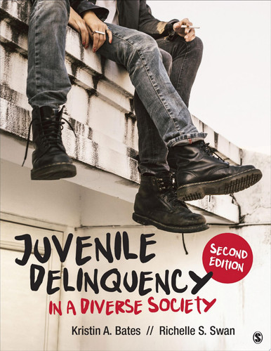 Cover of Juvenile Delinquency in a Diverse Society