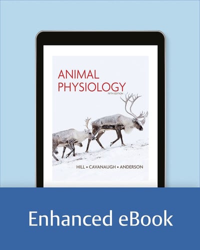 Animal Physiology