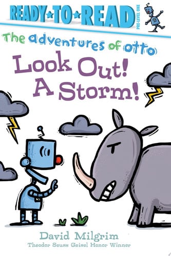 Cover of Look Out! a Storm!