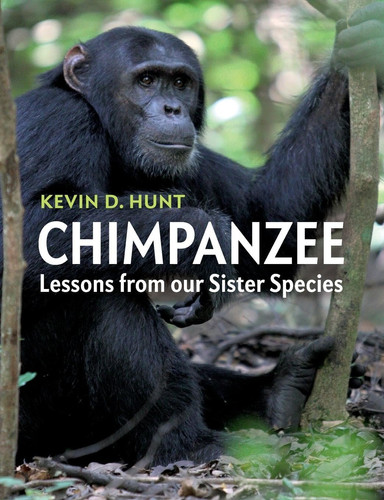 Chimpanzee Lessons from our Sister Species