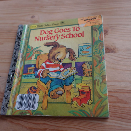 Cover of Childhood Experience