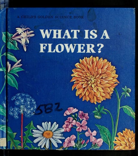 Cover of What Is a Flower?