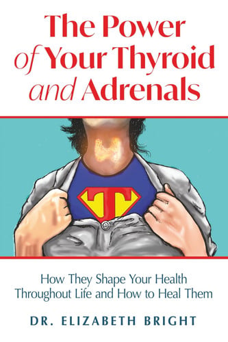 The Power of Your Thyroid and Adrenals: How They Shape Your Health Throughout Life and How to Heal Them