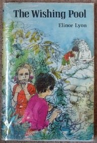 Cover of The wishing pool.