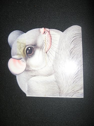 Cover of Squirrel - Nature Shapes (Nature Shape Book)