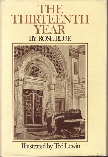 Cover of The thirteenth year