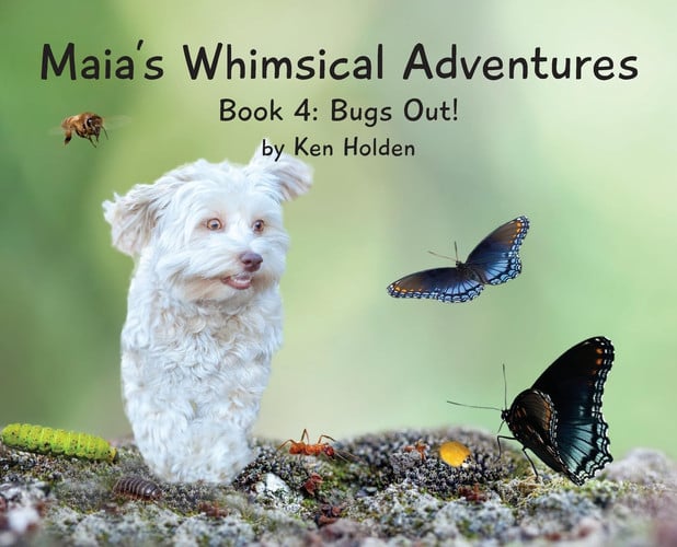 Cover of Maia's Whimsical Adventures : Book 4