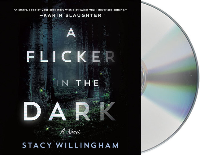 A Flicker in the Dark: A Novel