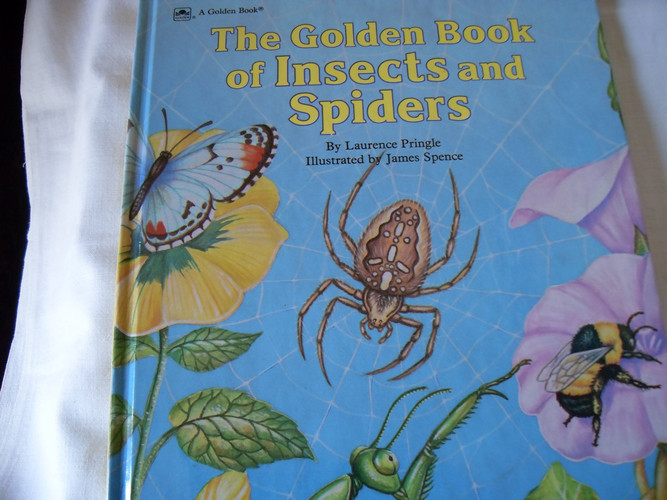 Cover of The Golden Book of Insects and Spiders