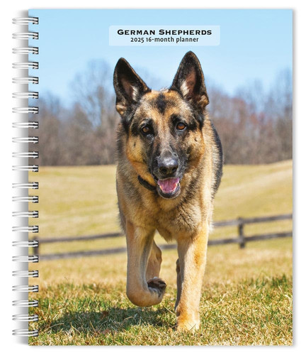 German Shepherds | 2025 6 x 7.75 Inch Spiral-Bound Wire-O Weekly Engagement Planner Calendar | New Full-Color Image Every Week | BrownTrout | Animals Dog Breeds Pets