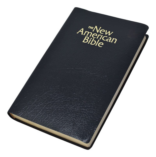 New American Bible Gift and Award Bible/black Imitation Leater