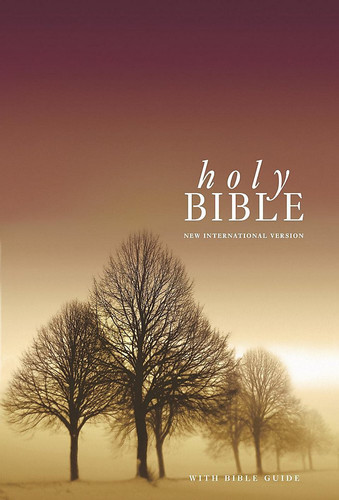 NIV Popular Bible: WITH Bible Guide (Bible Niv)